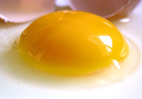 raw egg yolk rich in biotin