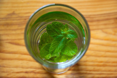 tea with mint leaf