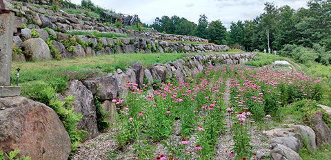 Trucs et conseils : Visite à la Clef des Champs à Val-David