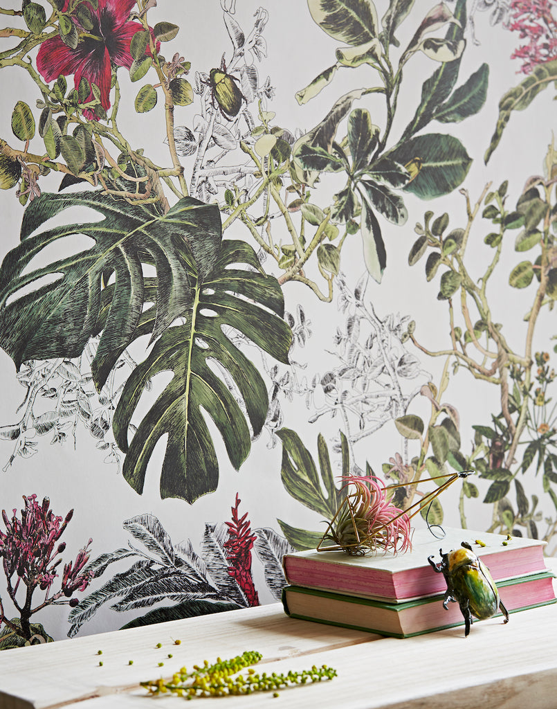 Sian Zeng Summer Tropical Bloom Wallpaper