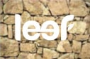 Fake leef logo