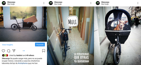 Algunas fotos de la Muli publicadas en nuestra cuenta de Instagram