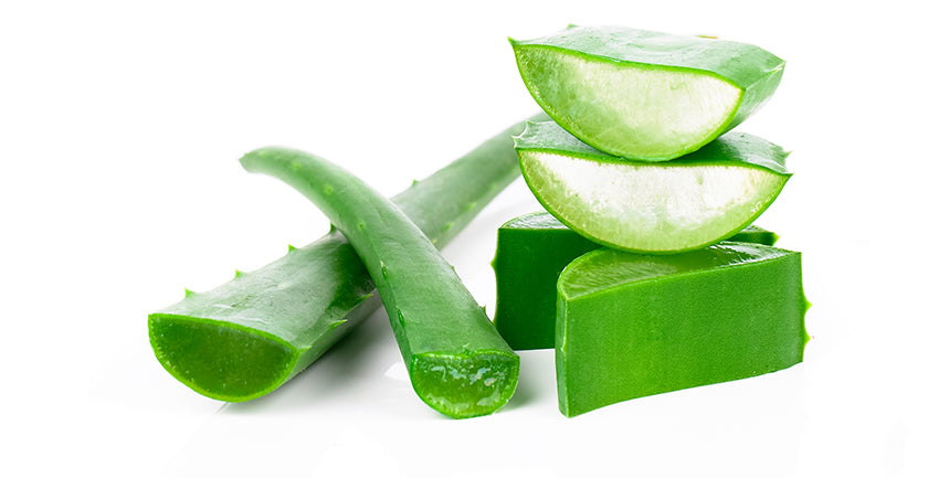 aloe vera for hair loss