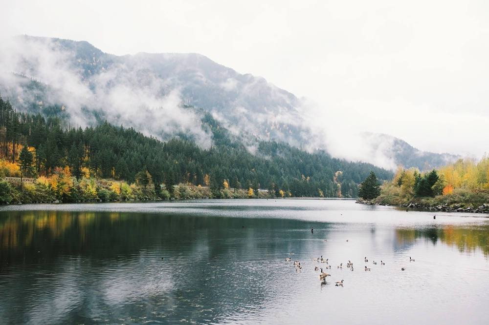 portland lake print