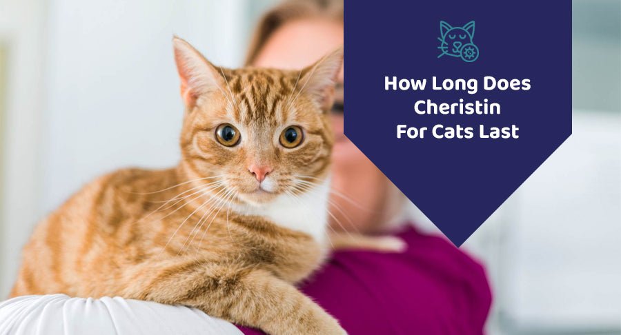 how-long-does-cheristin-for-cats-last