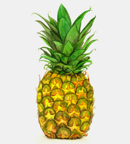 Pineapple artwork