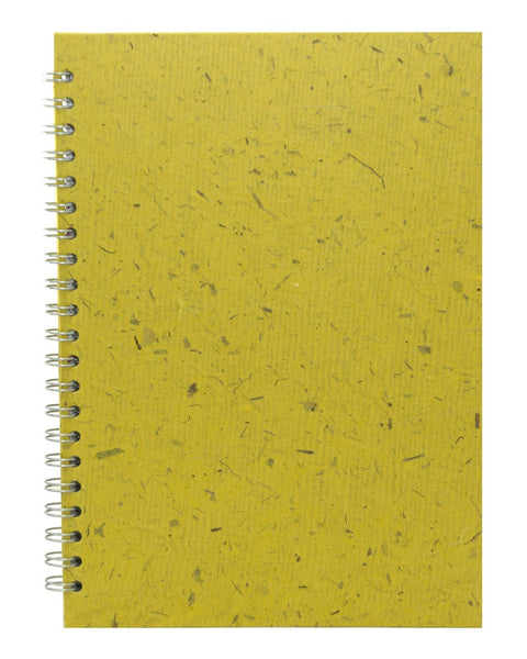 Banana - Wild Yellow/18