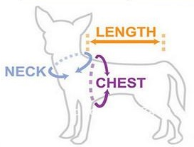 How to measure your dog - Woof Suits