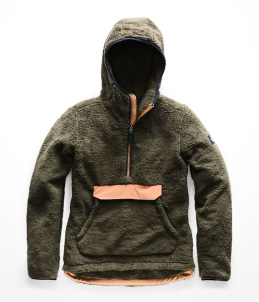 the north face womens hoodie sale