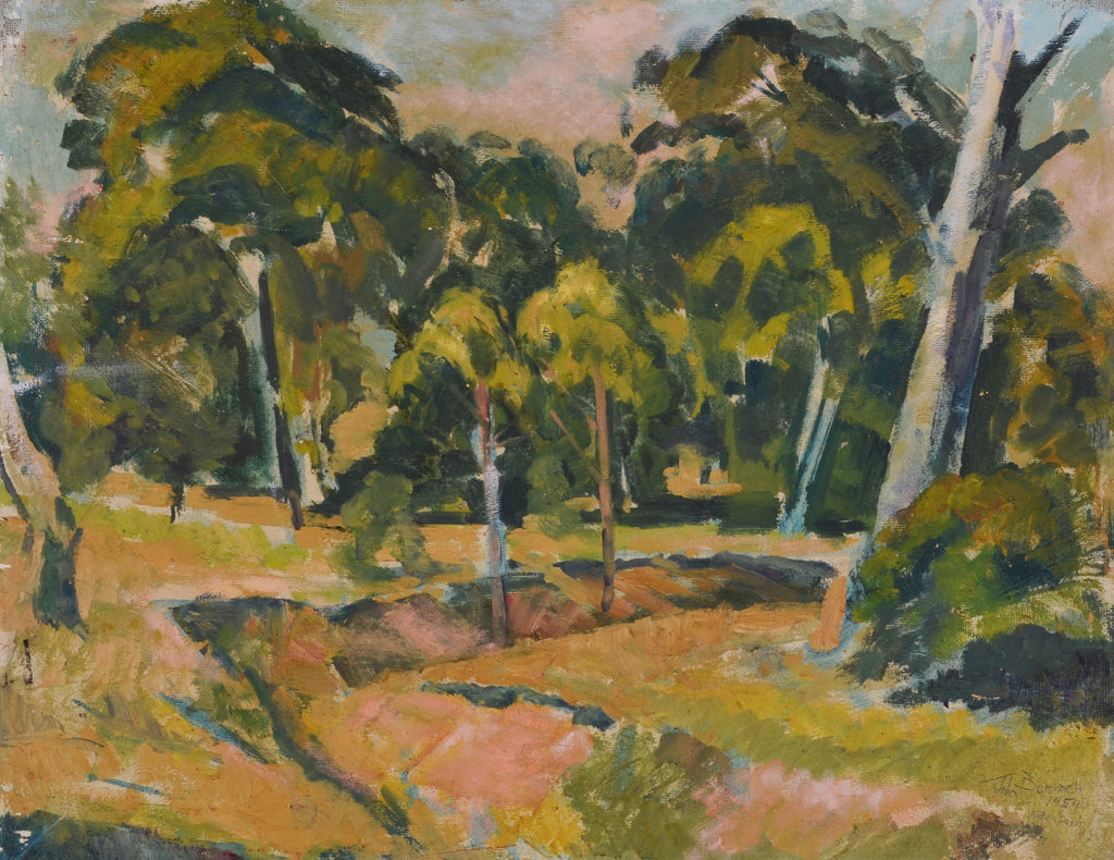 Eroded Creek and Bush, Eden Park, 1959, Oil on Masonite, 61 x 76 cm.