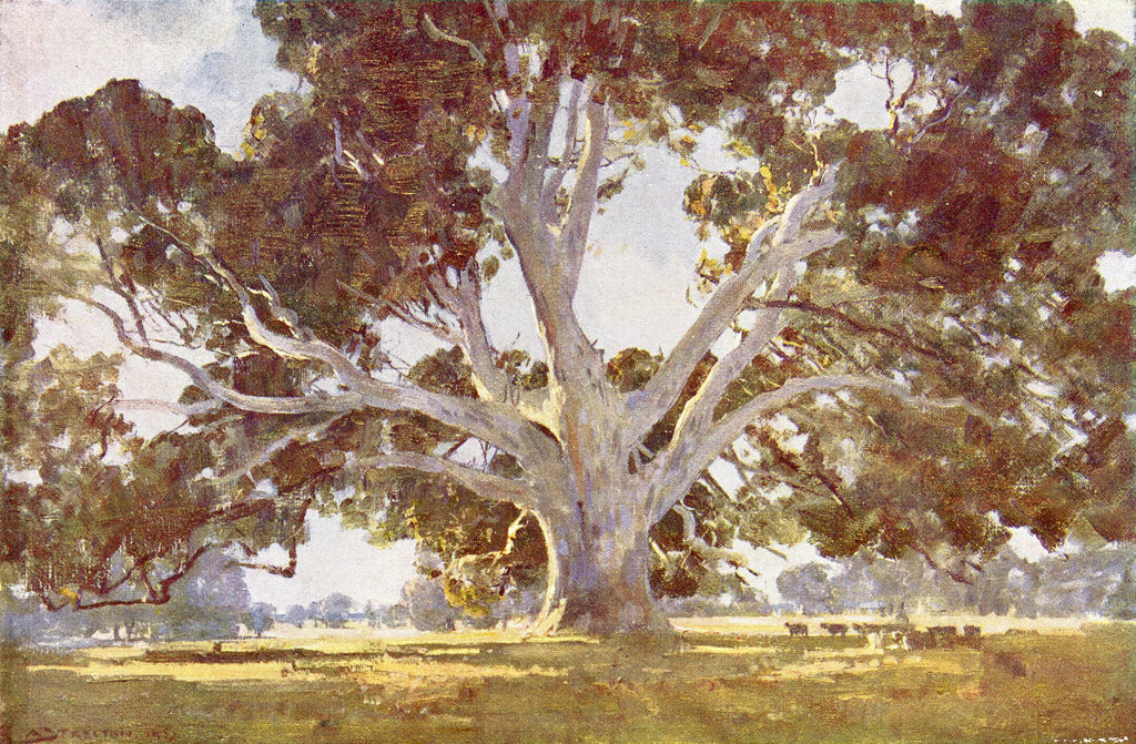 The Red Gum Tree by Arthur Streeton 1920’s