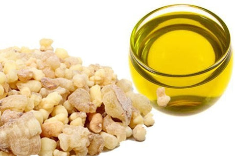 Essential Oil of Frankincense