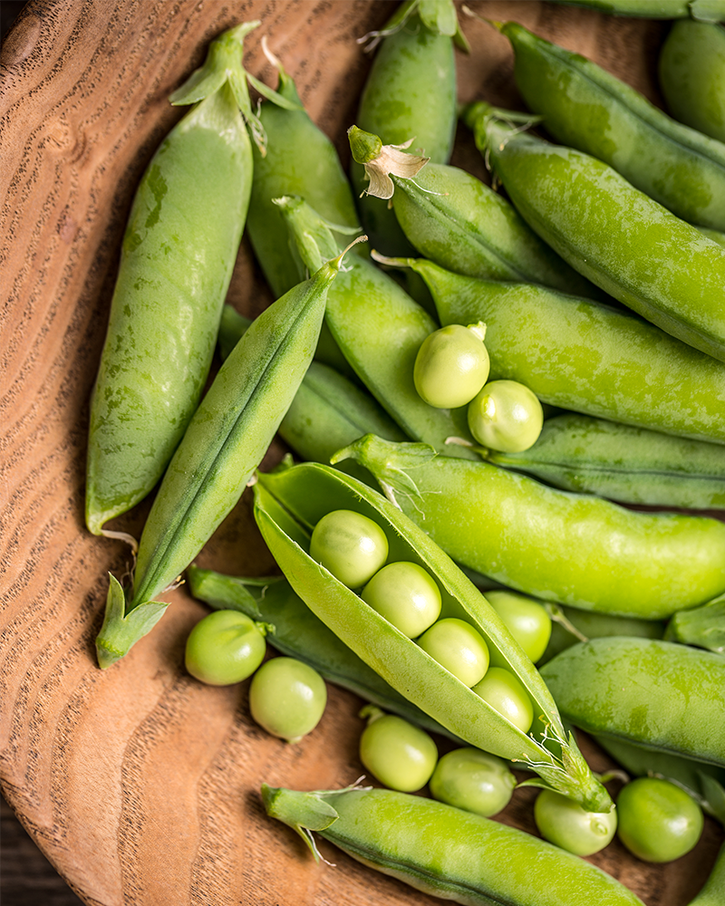 What to Do in the Garden in March - Plant Peas