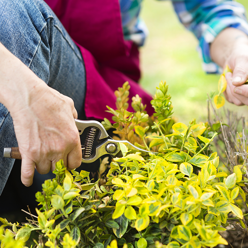 April Gardening Jobs - What to Do in the Garden This Month