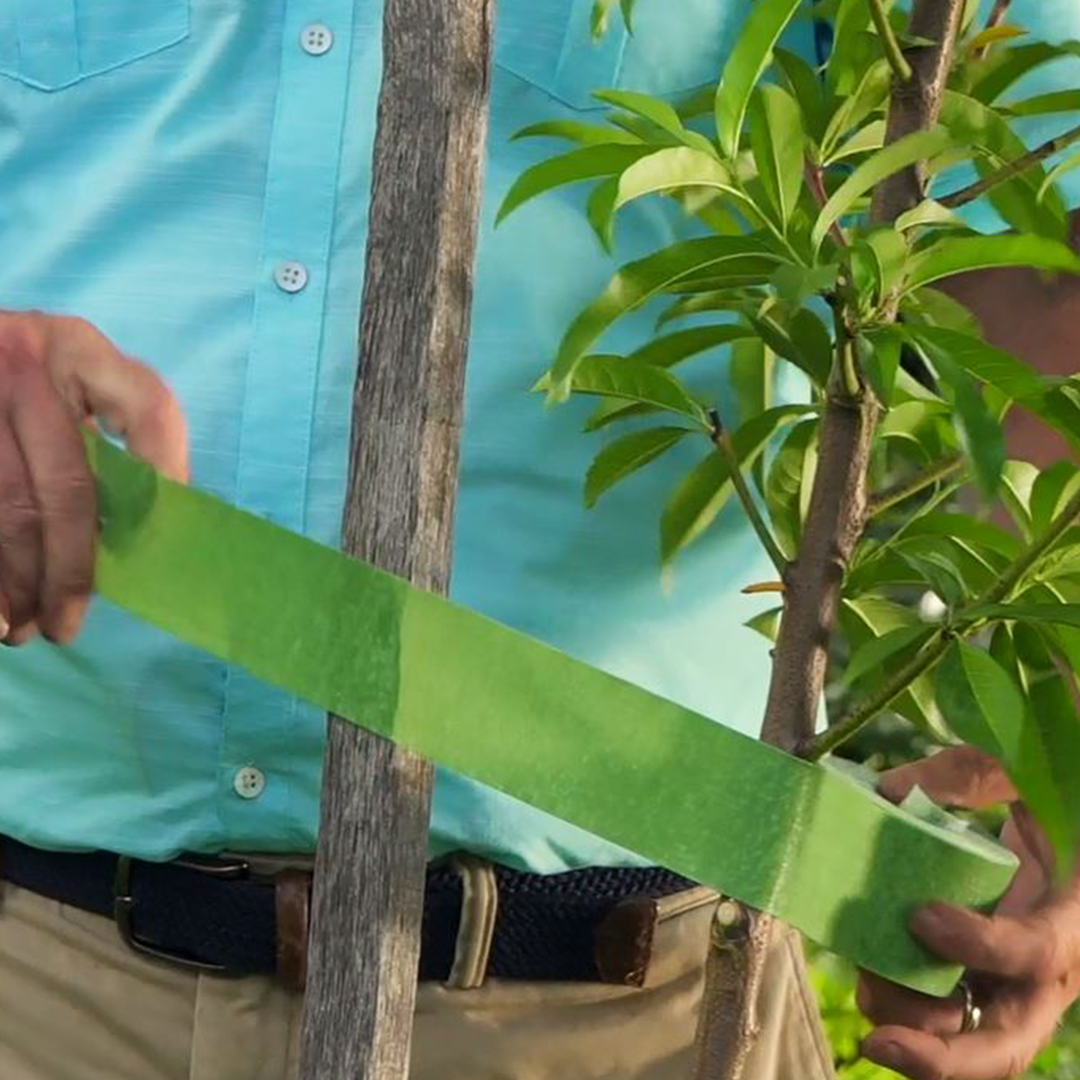 How to Support Trees with VELCRO® Brand Tree Ties