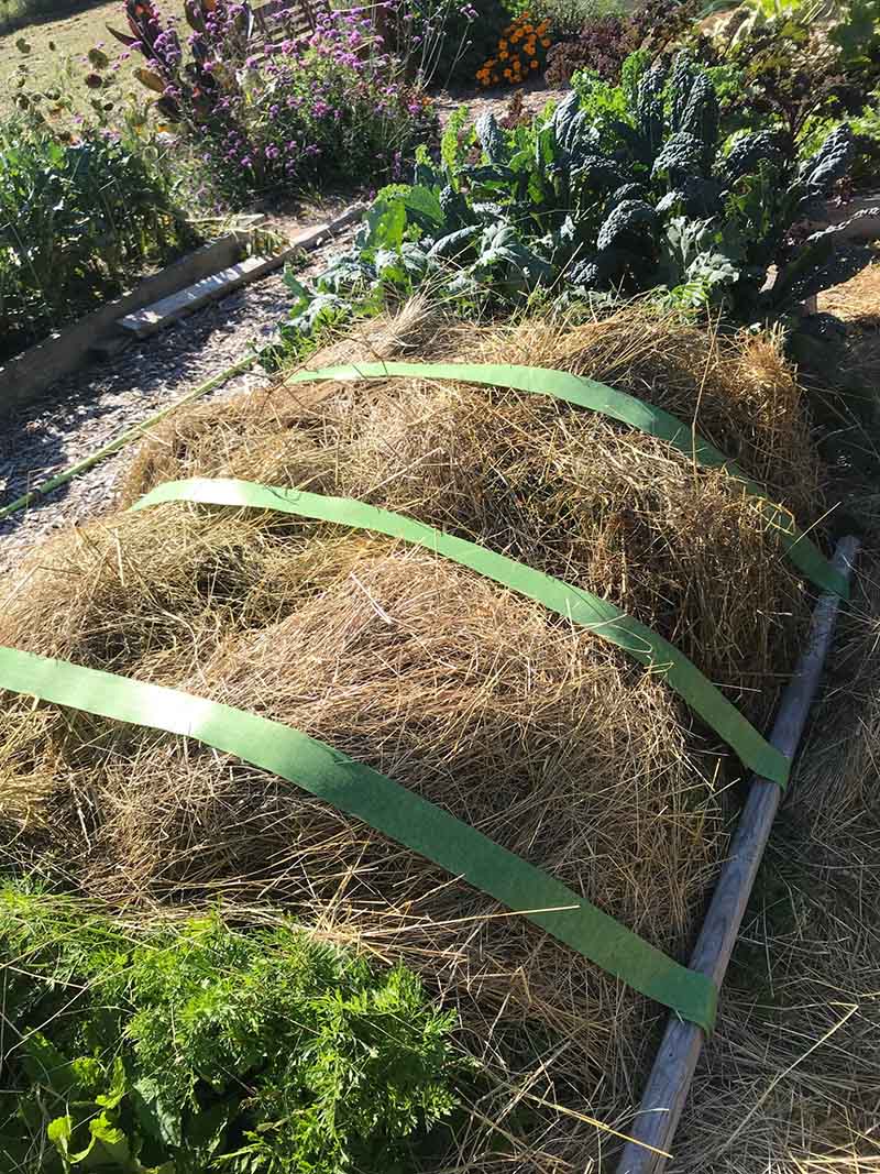 Winter Vegetable Gardening