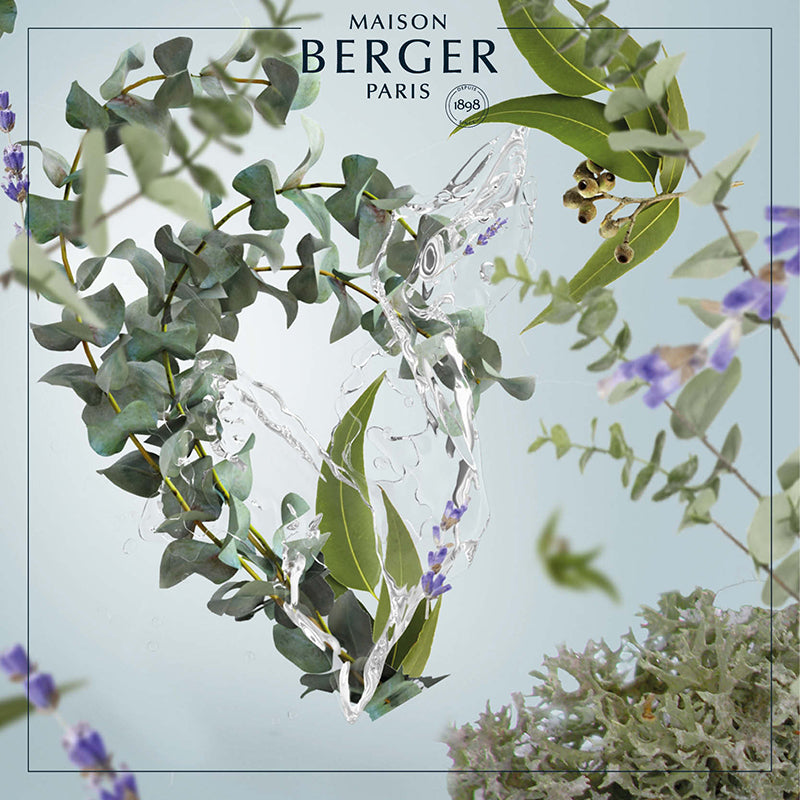 lampe berger fresh eucalyptus