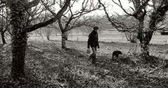 truffle hunting with dogs