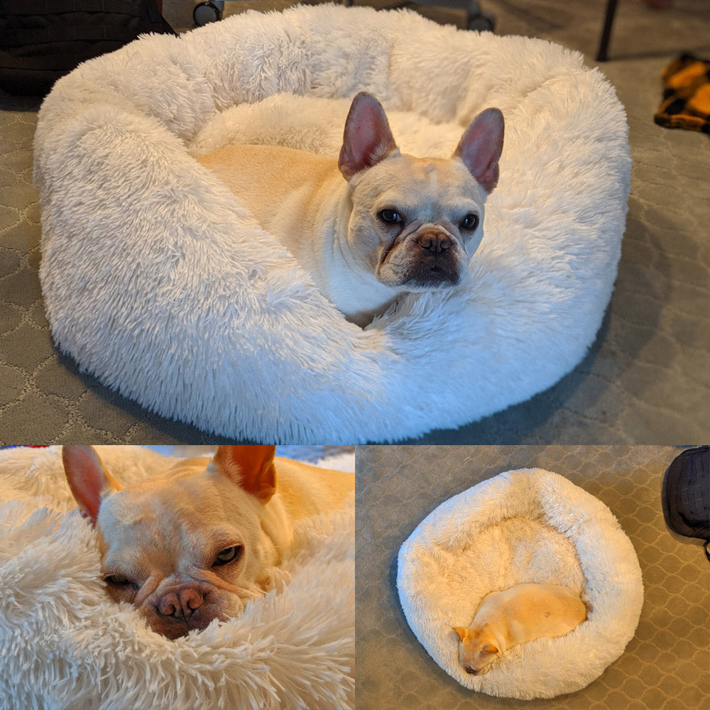 fluffy pet bed