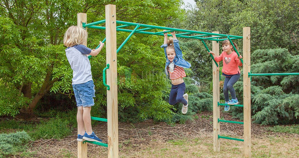 Amazon Monkey Bar Set - Lifespan Kids - buy online Happy Active Kids