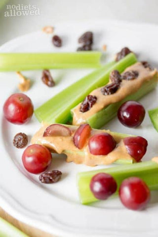 ants on the log kids' healthy snack idea