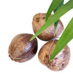 Natural Dried Coconut