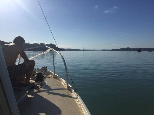 Vilo Blog - Bay of Islands