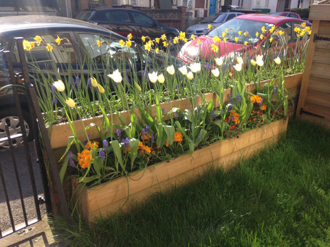 Tailor made planters for this Bristol terraced house front garden