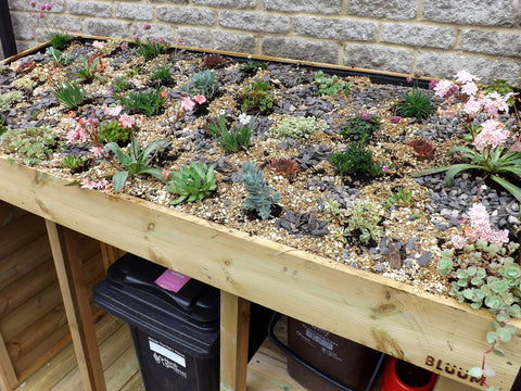 Tidy wheelie bin storage box unit with living green roof planter. Holds wheelie bins, recycling boxes and food waste bin