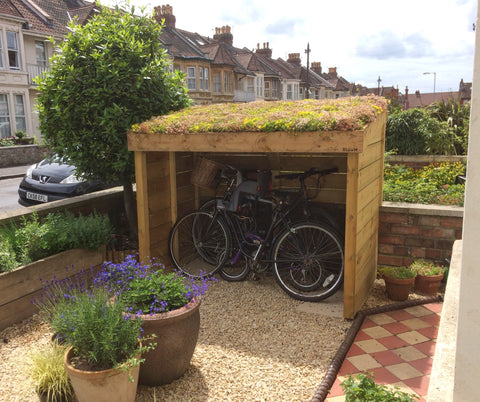 Bristol bike shelter with sedum blanket in the green roof planting area. Front garden of a Victorian terraced home. 