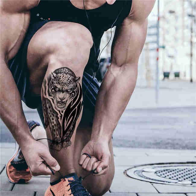 Mountain Lion – Boston Temporary Tattoos