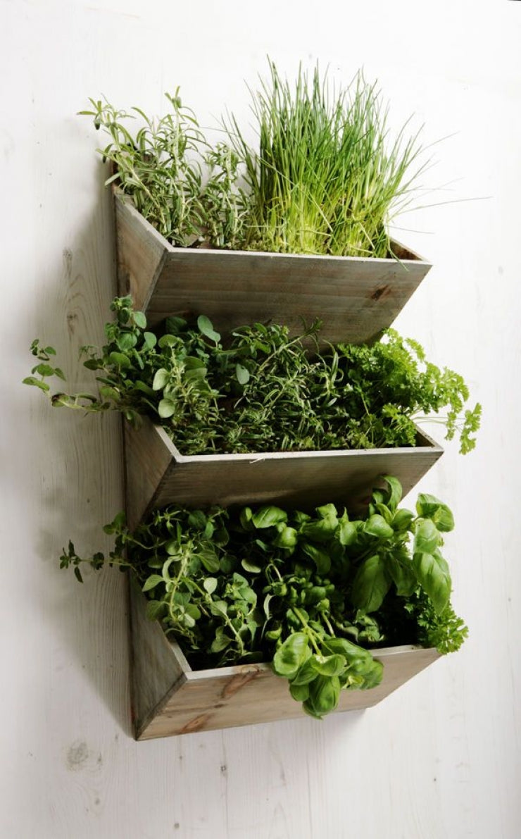 Herb garden