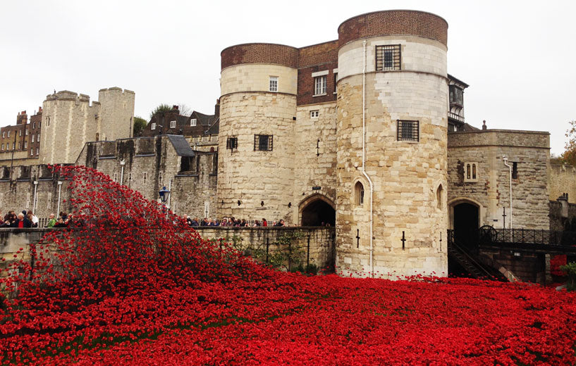 Tower-of-London-Poppies-1