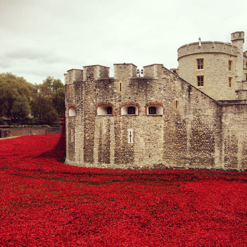 Tower-of-London-Poppies-2