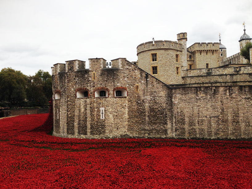 Tower-of-London-Poppies-3
