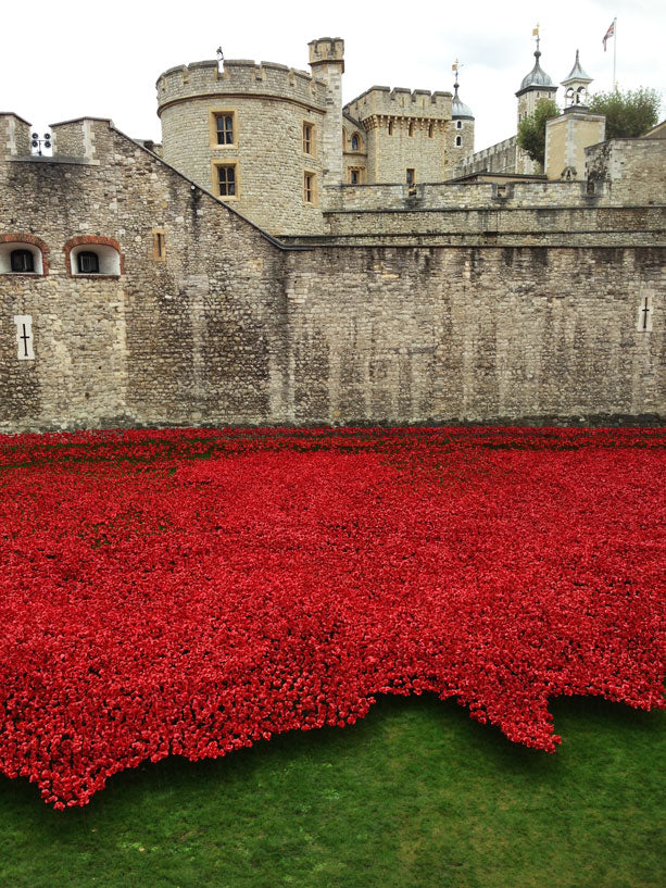 Tower-of-London-Poppies-4