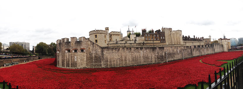 Tower-of-London-Poppies