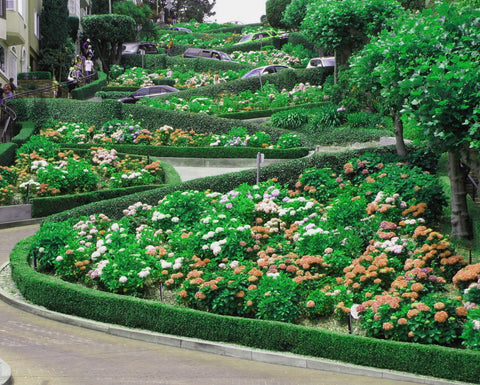 Lombard Street