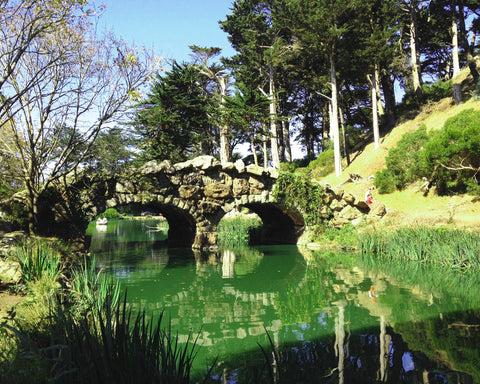 Golden Gate Park