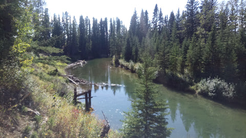 Prairie Creek Upstream Trickflies.ca