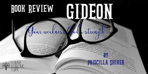 Book Review Gideon Your weakness, God's Strength By Priscilla Shirer