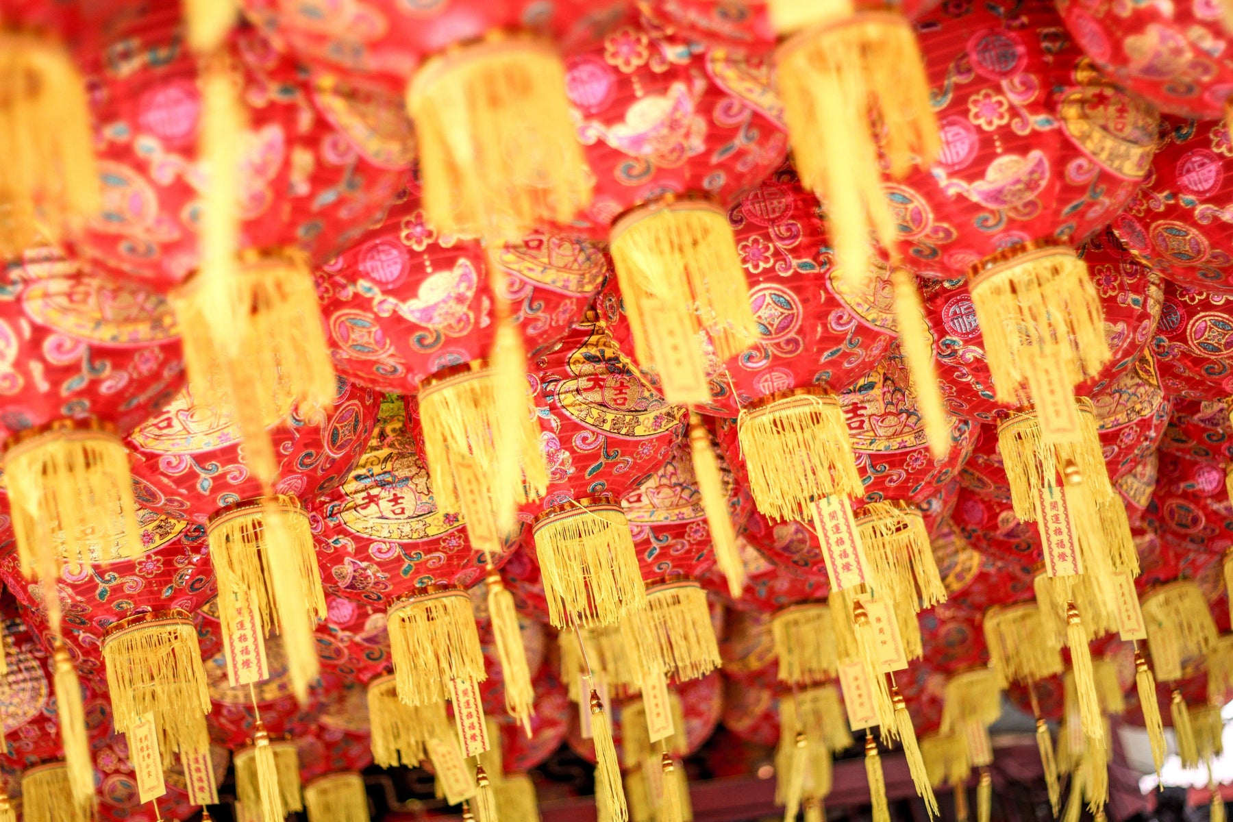 Shanghai Gān Jū, Apprentice Perfumer Delphine Perdon Rupnow Scented Notes by Perfumarie