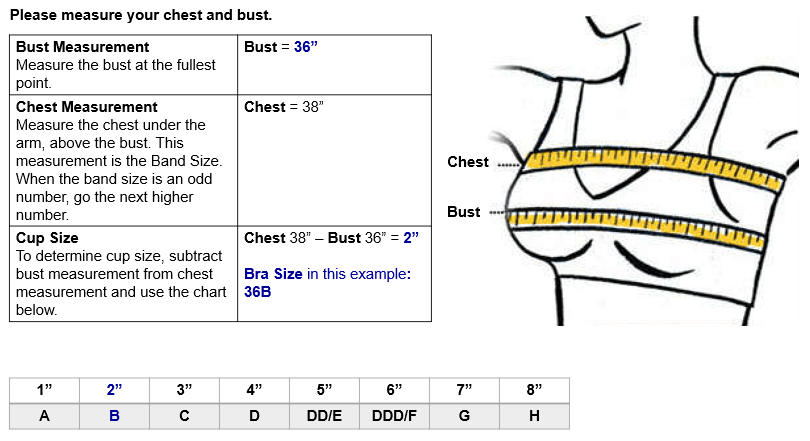 Size guide bra sizes