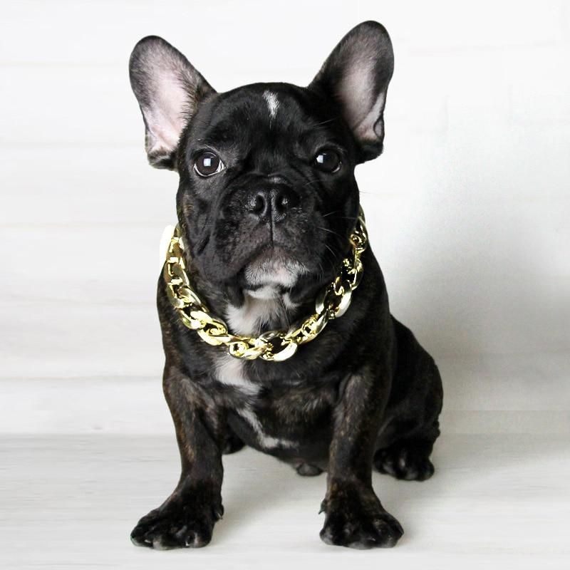 Top French Bulldog Collar of all time Check it out now | bulldogs