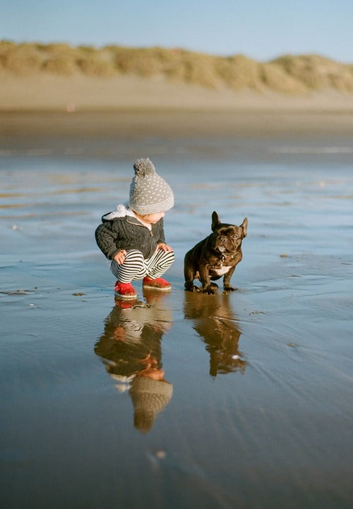 french bulldog with children