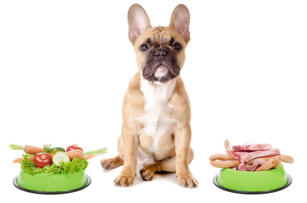 Top 10 Toxic Foods For French Bulldogs 