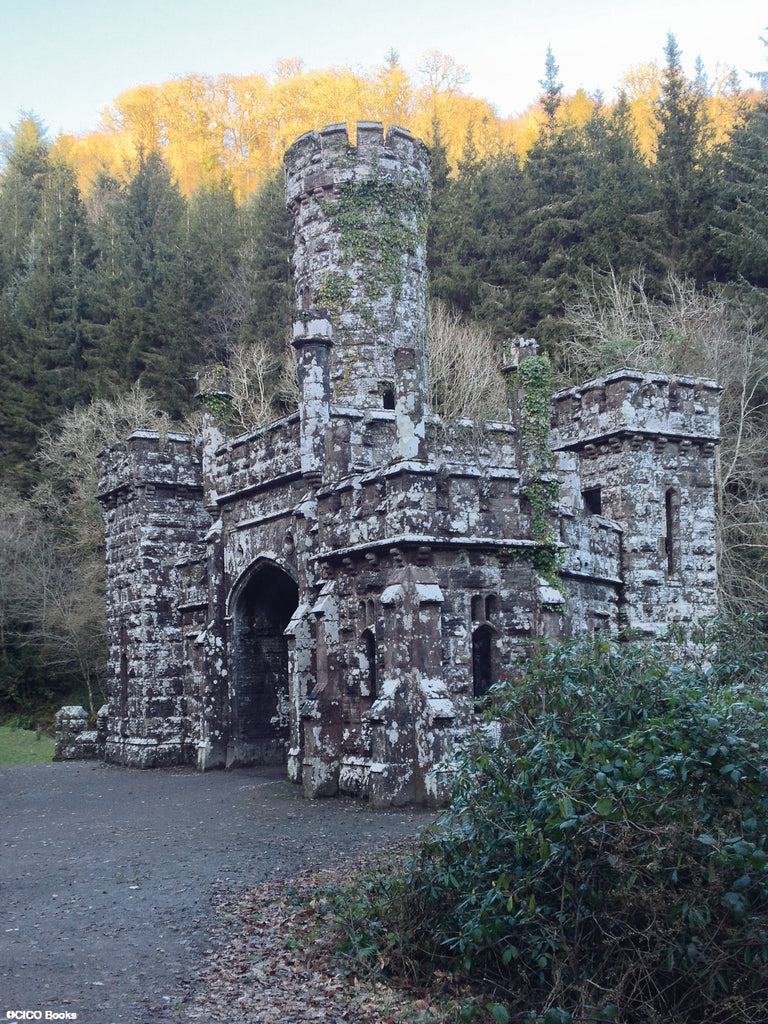 Ruins of Ireland