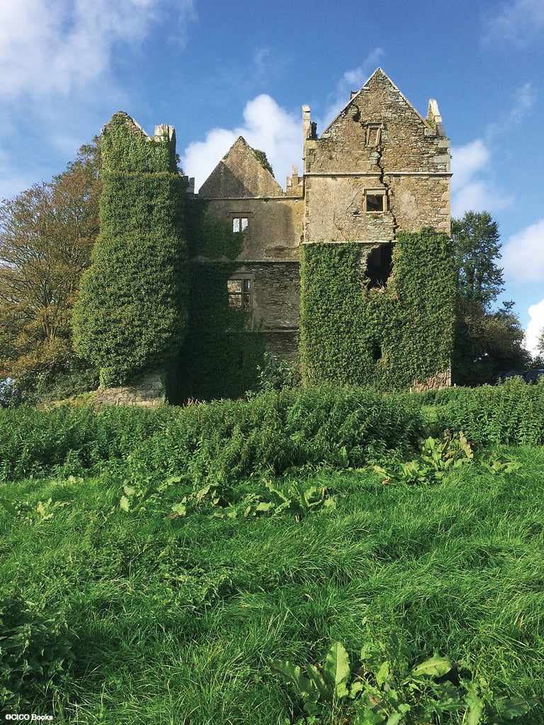 Ruins of Ireland