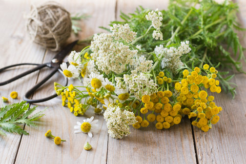 How to hang dry flowers