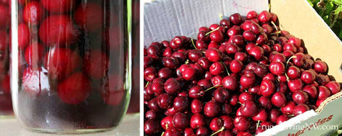 how to can cherries